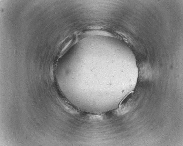 X0000057100572200510071940