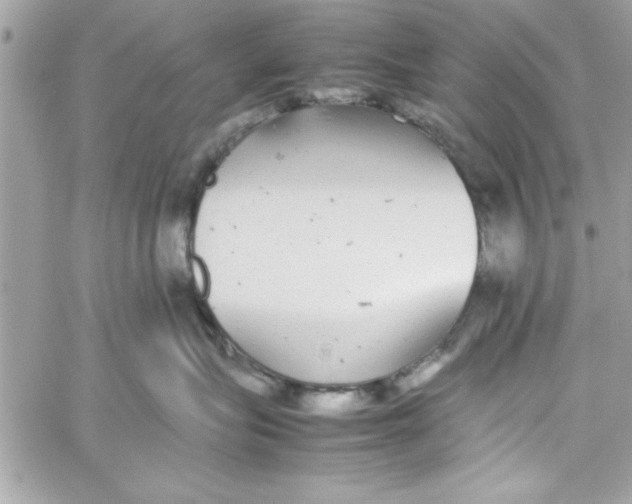 X0000057100575200510071940