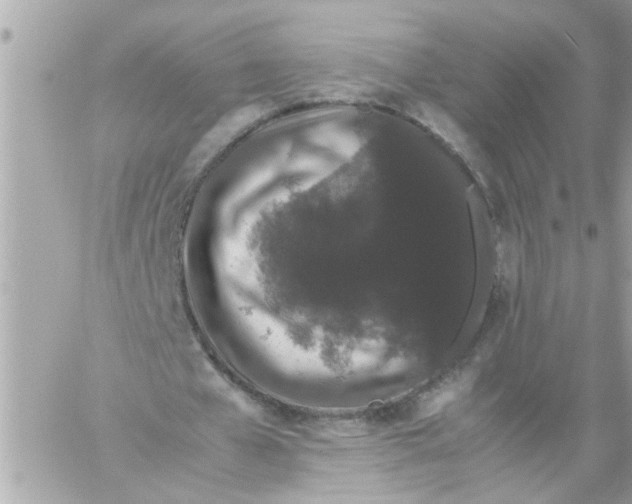 X0000057100577200510071939