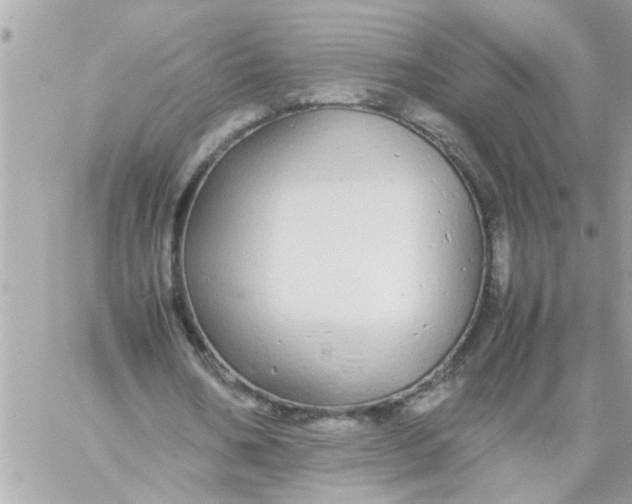 X0000057100578200510071939