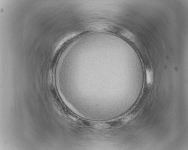 X0000057100579200510071939