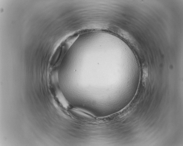 X0000057100580200510071939