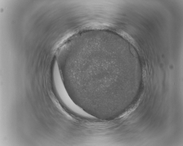 X0000057100581200510071939