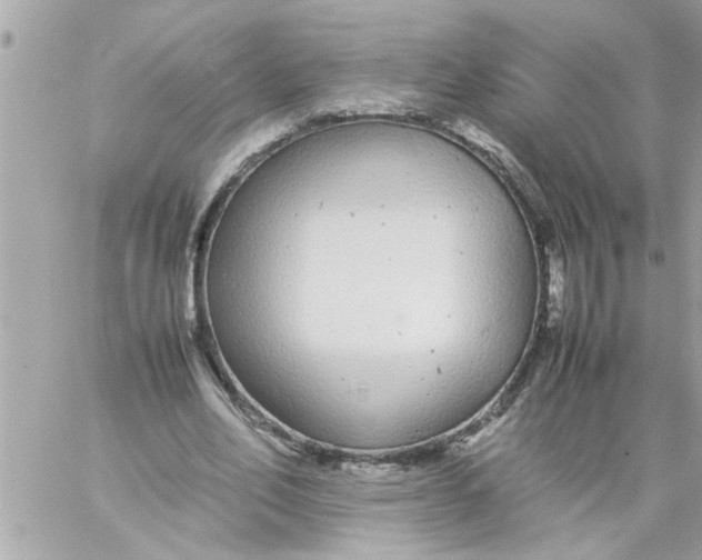 X0000057100582200510071939