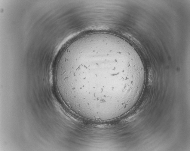 X0000057100584200510071939