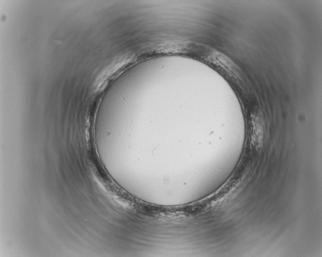 X0000057100586200510071939