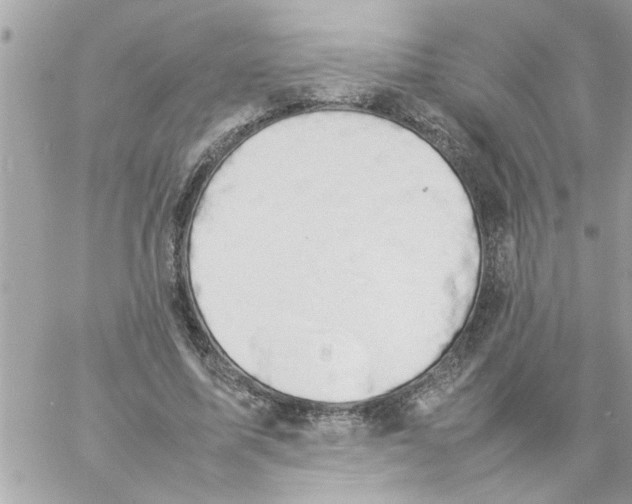 X0000057100587200510071939