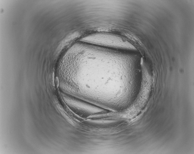 X0000057100589200510071939