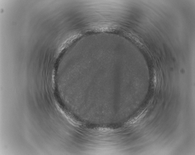 X0000057100590200510071939