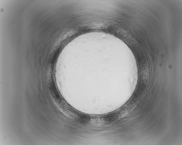 X0000057100591200510071939