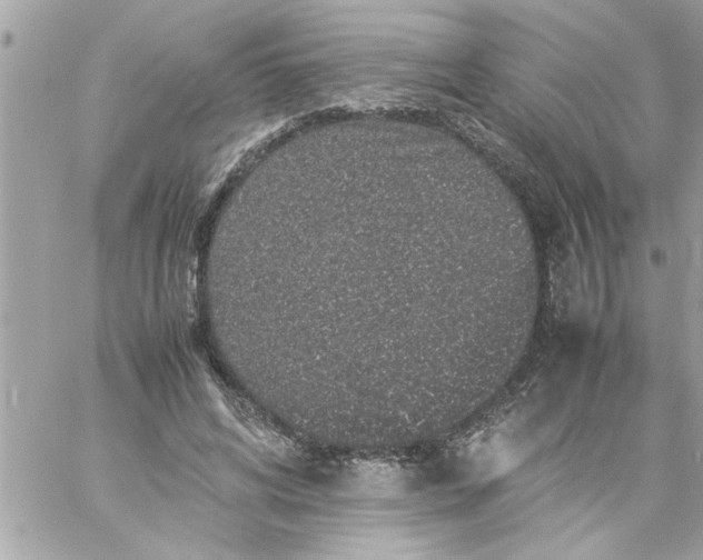 X0000057100592200510071939