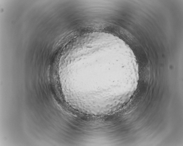 X0000057100594200510071939