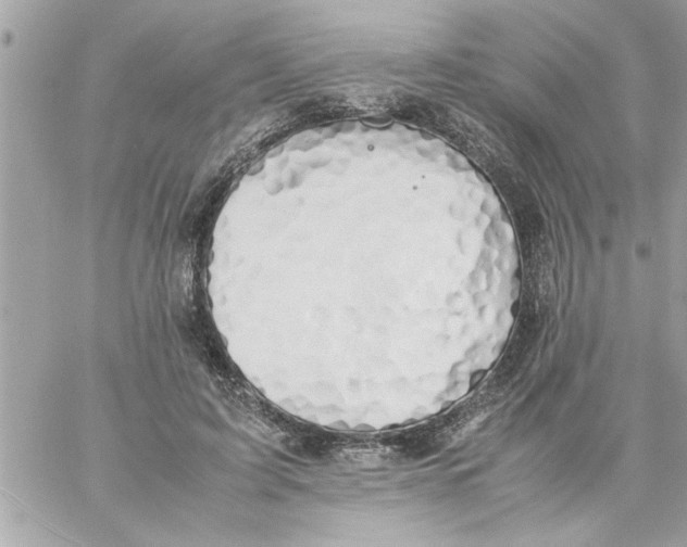 X0000057100595200510071939