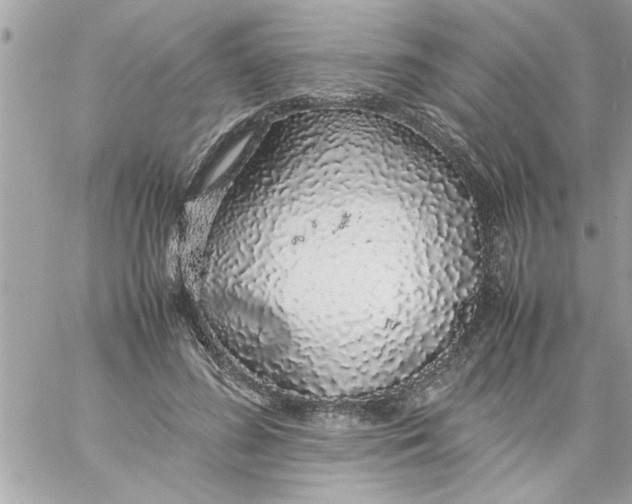 X0000057100596200510071939