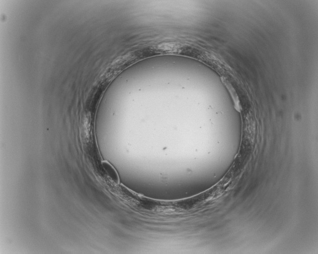 X0000057100597200510071939