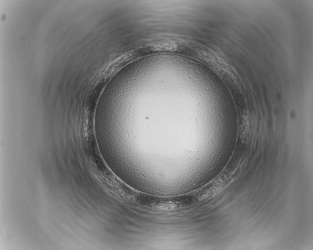 X0000057100600200510071939