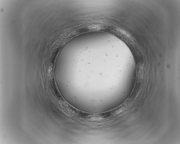 X0000057100601200510071939