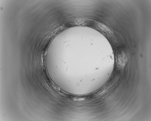 X0000057100602200510071939