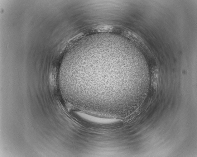 X0000057100604200510071939