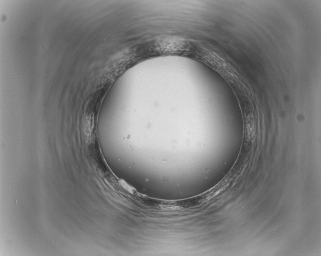 X0000057100605200510071939