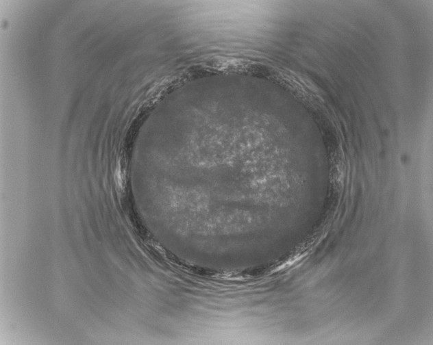 X0000057100607200510071939