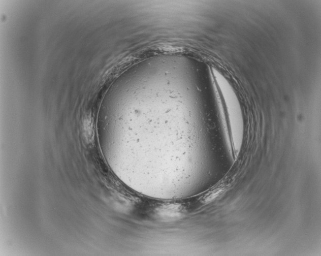 X0000057100609200510071939