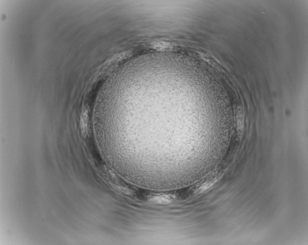 X0000057100611200510071939