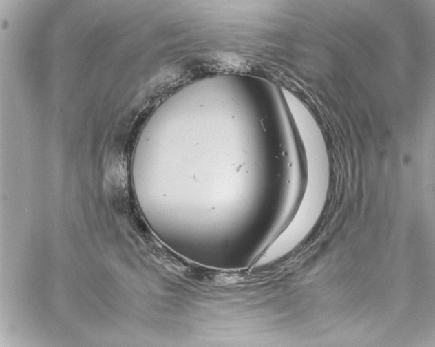 X0000057100613200510071939