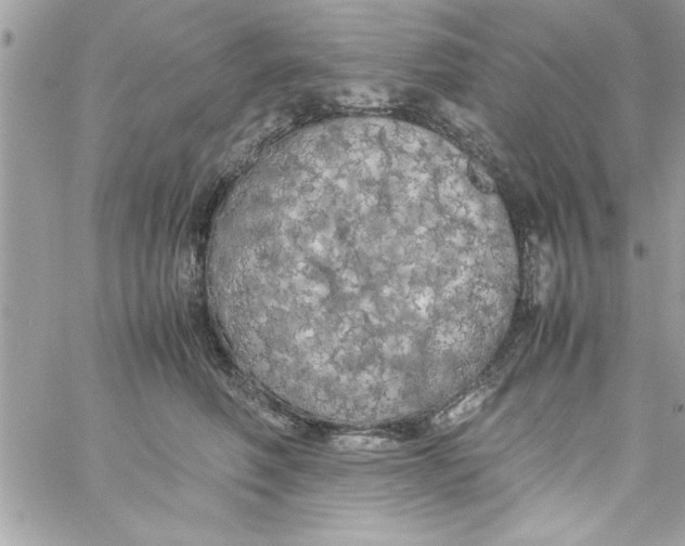 X0000057100614200510071939