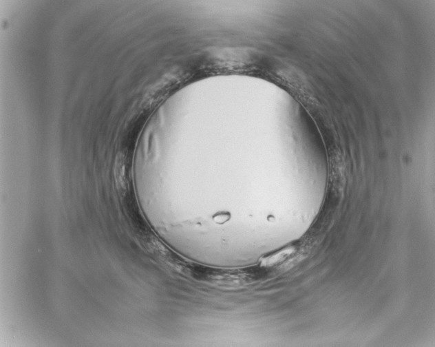 X0000057100615200510071939