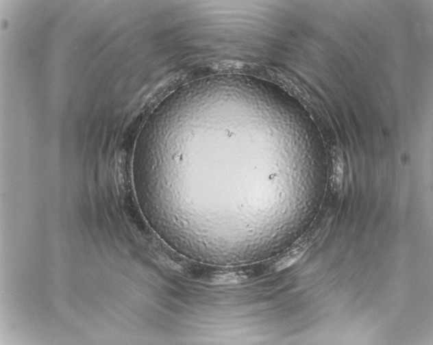 X0000057100616200510071939