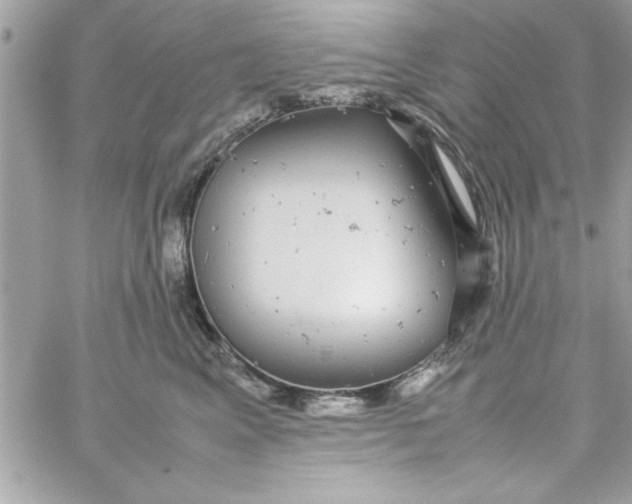 X0000057100617200510071939