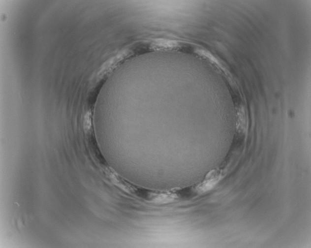 X0000057100621200510071939