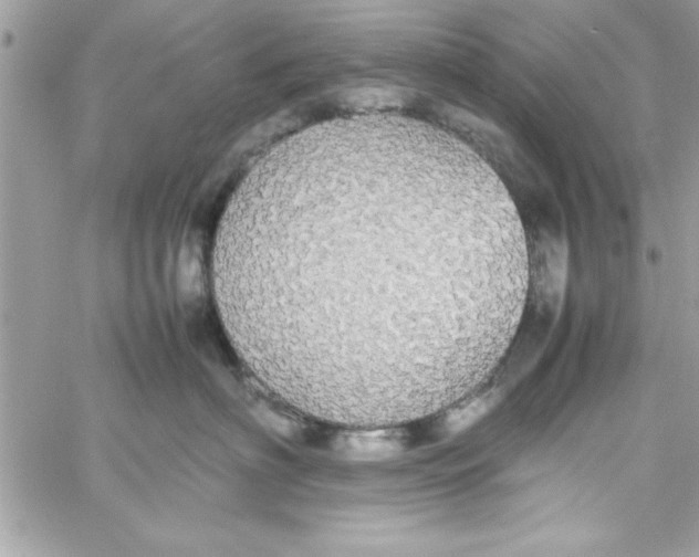 X0000057100622200510071939