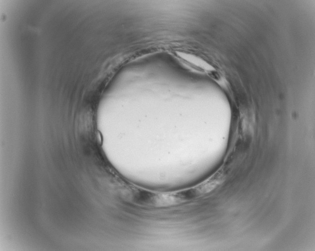 X0000057100623200510071939