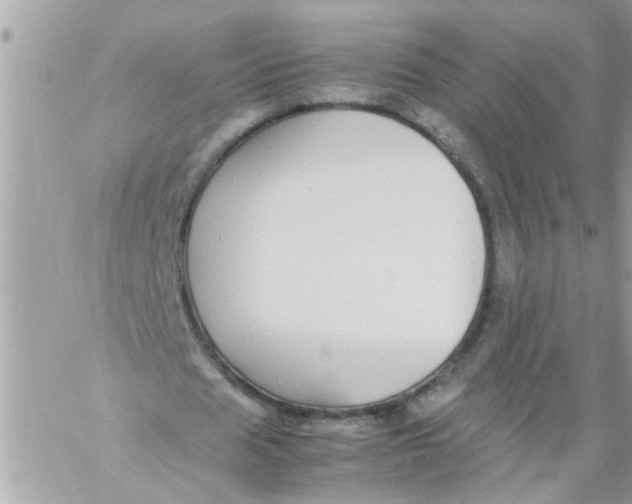 X0000057100625200510071938