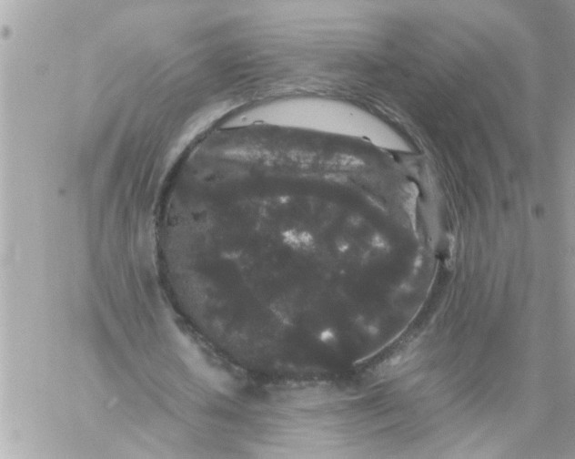 X0000057100626200510071938