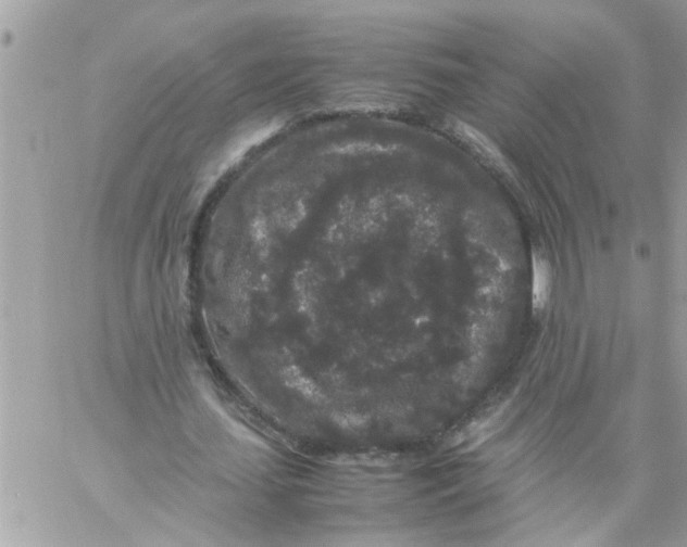 X0000057100627200510071938