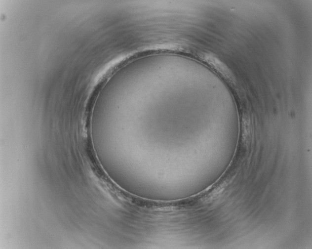 X0000057100628200510071938