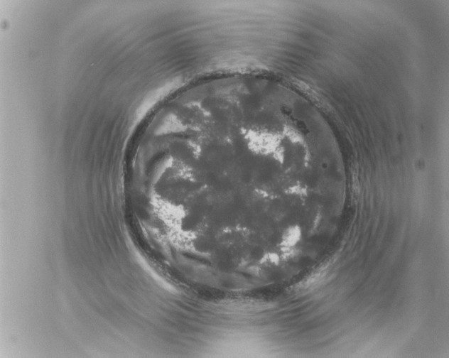 X0000057100630200510071938