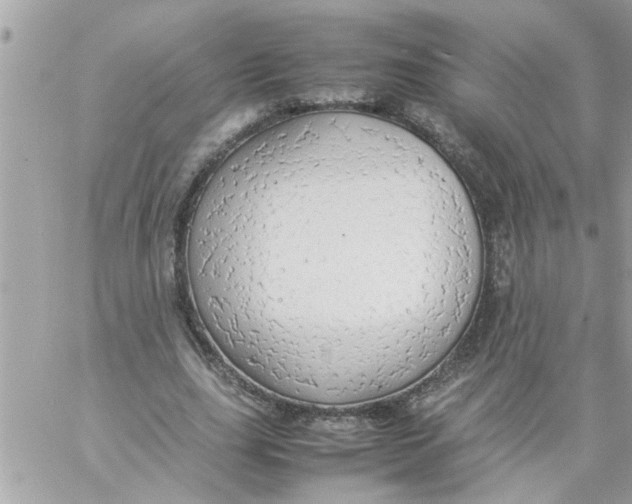 X0000057100631200510071938