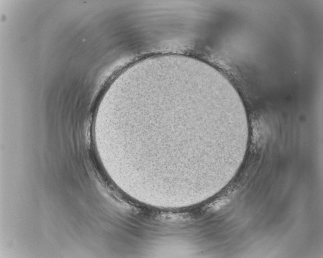 X0000057100632200510071938