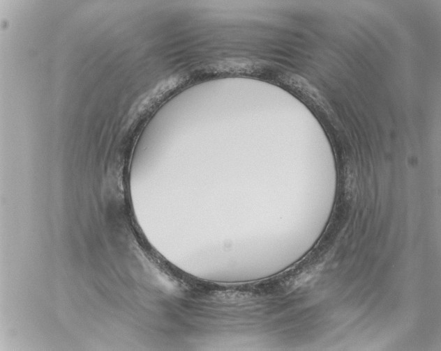 X0000057100633200510071938