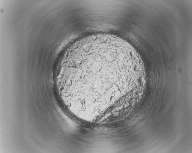 X0000057100634200510071938