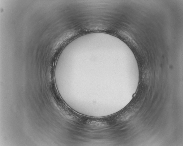 X0000057100635200510071938