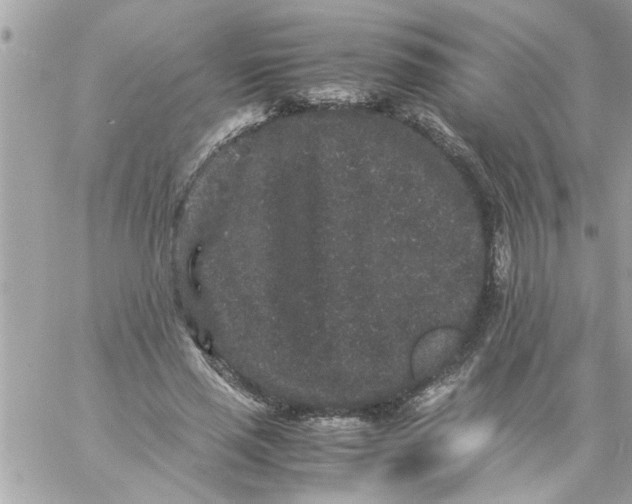 X0000057100637200510071938