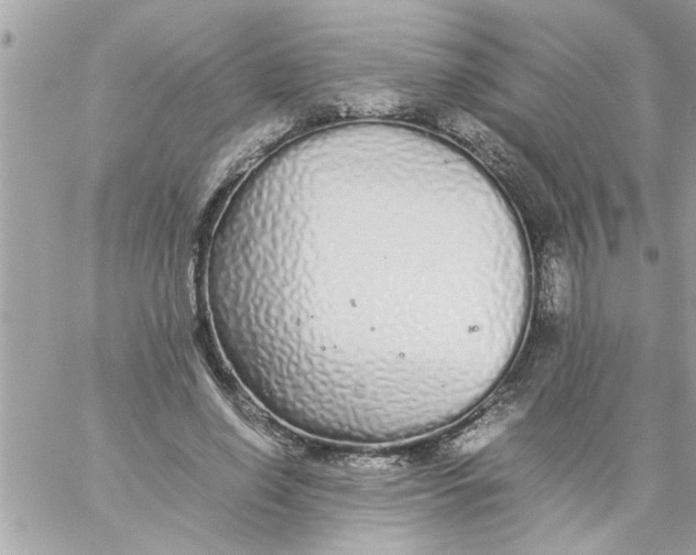 X0000057100638200510071938