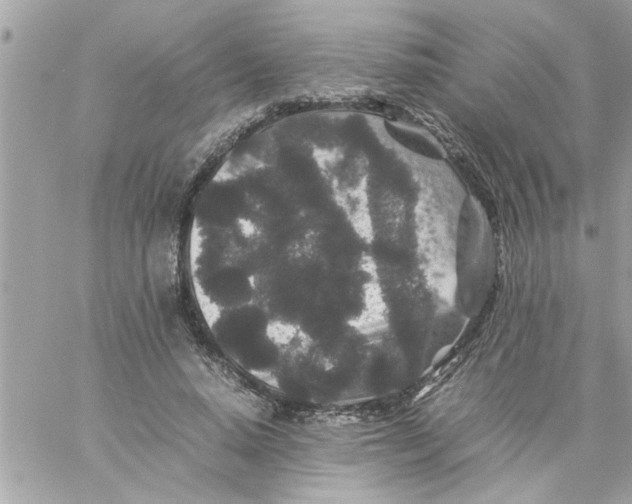 X0000057100640200510071938