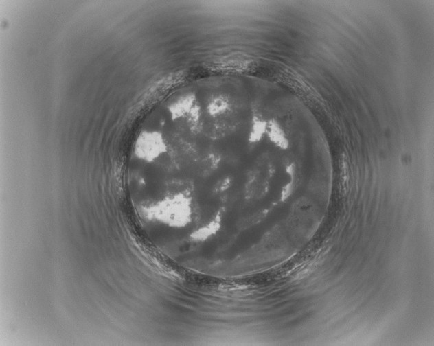 X0000057100641200510071938