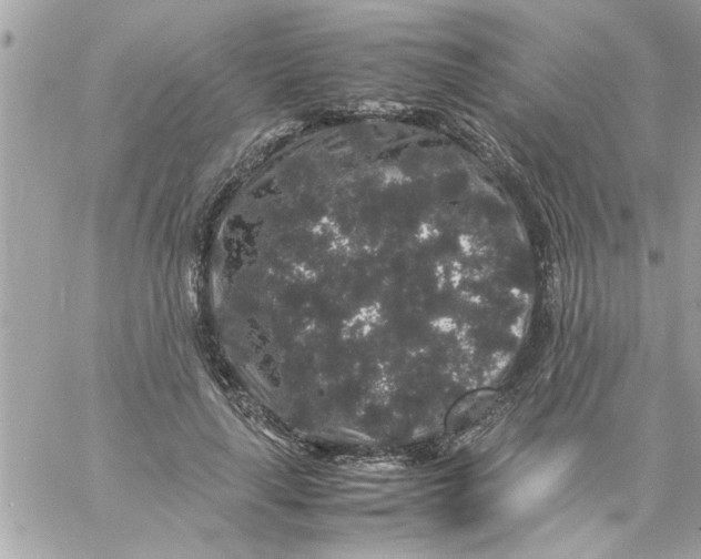 X0000057100643200510071938